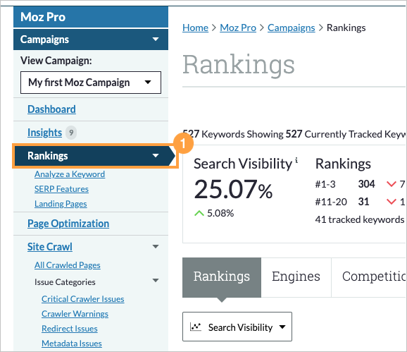 Start by heading to your Rankings section via the left-hand navigation.