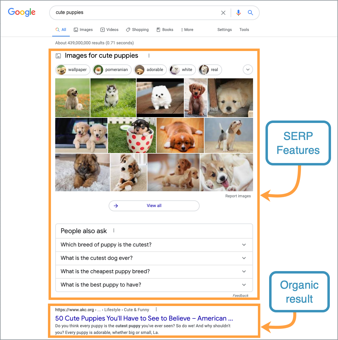 Example of a SERP which includes SERP features.